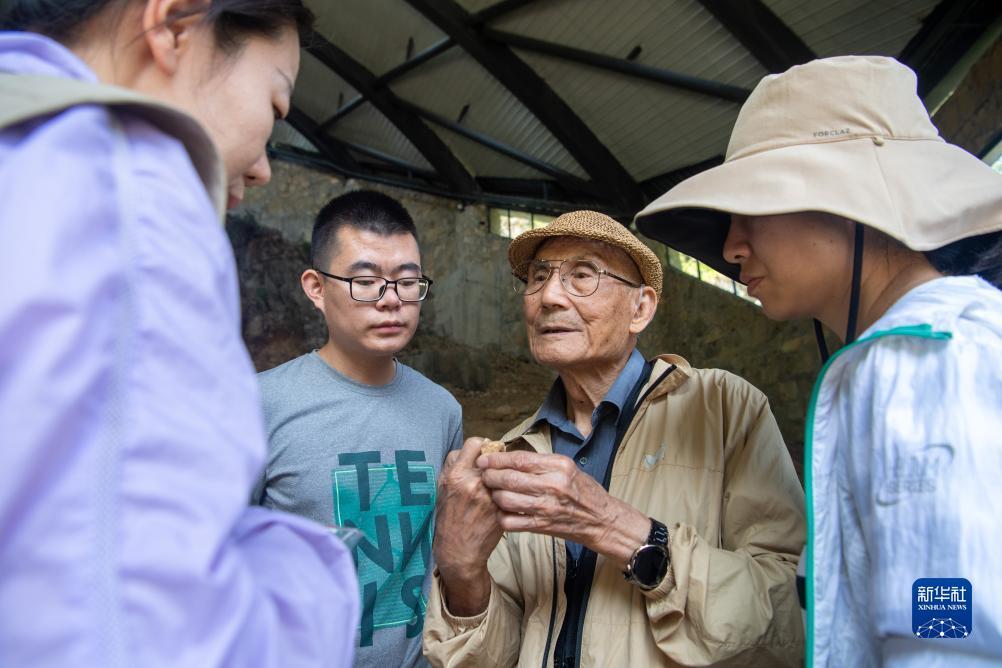 两毛底分棋牌
